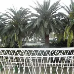 In With Sea View, Terrace, Air Conditioning, Wi-fi *
